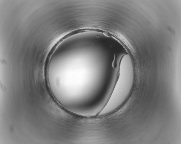 X0000091330884200708101424