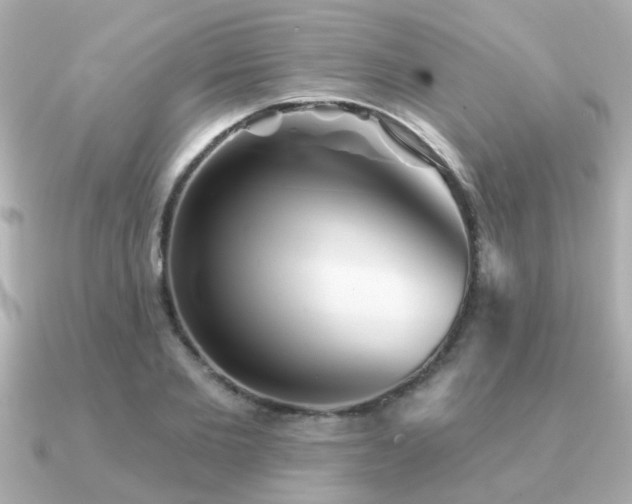 X0000091330885200708101424