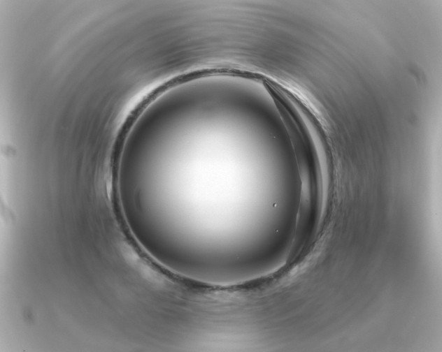 X0000091330888200708101424