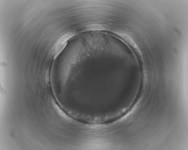 X0000091330889200708101424