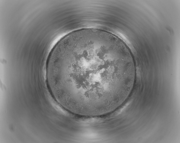 X0000091330891200708101424