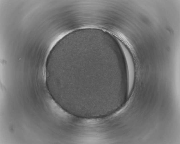 X0000091330892200708101424
