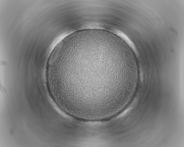 X0000091330893200708101424