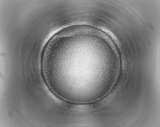 X0000091330894200708101424