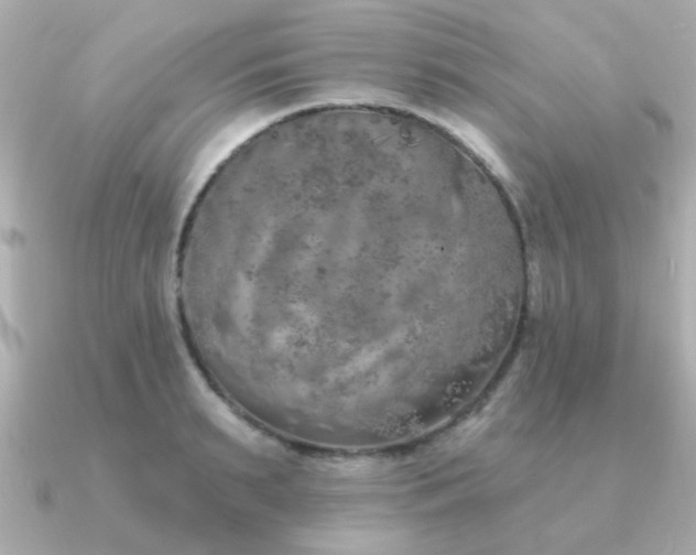 X0000091330895200708101424