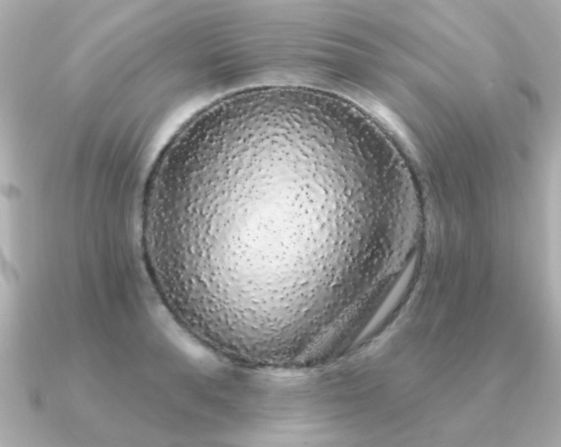 X0000091330896200708101424