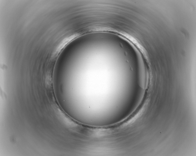 X0000091330897200708101424