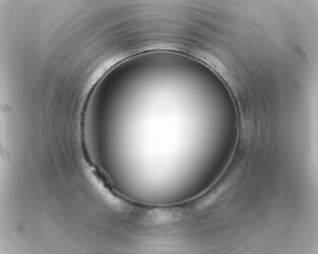 X0000091330898200708101424