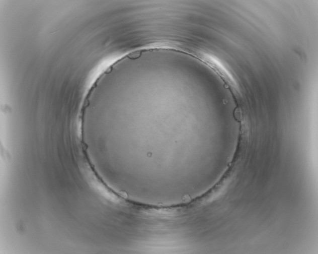 X0000091330900200708101424