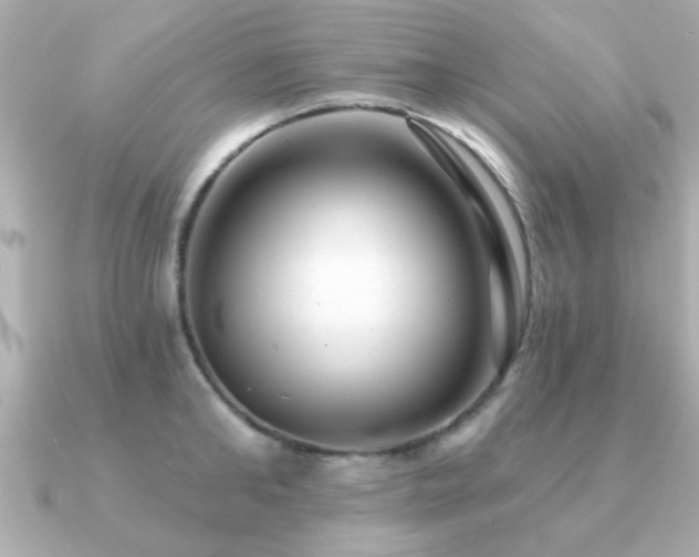 X0000091330902200708101424