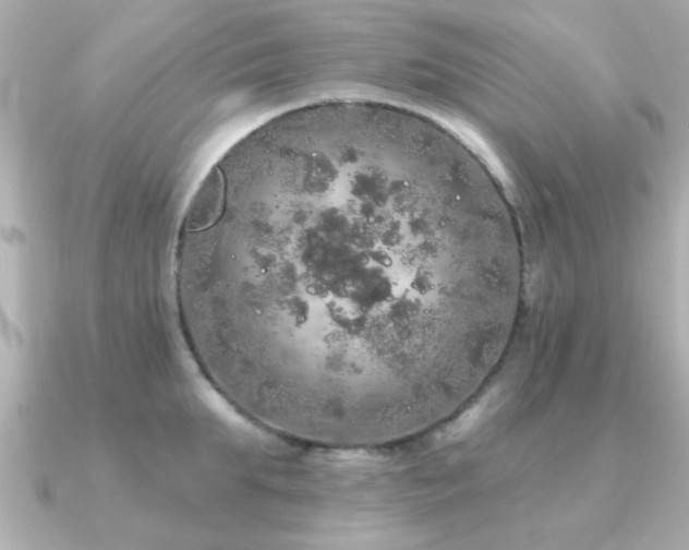 X0000091330903200708101424
