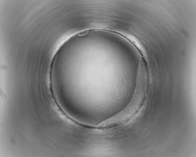 X0000091330904200708101423
