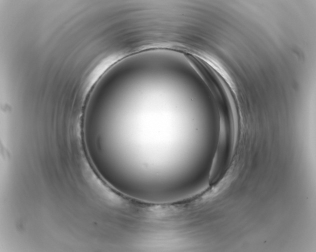 X0000091330906200708101423