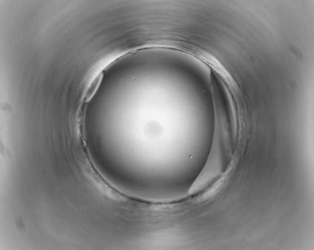 X0000091330908200708101423