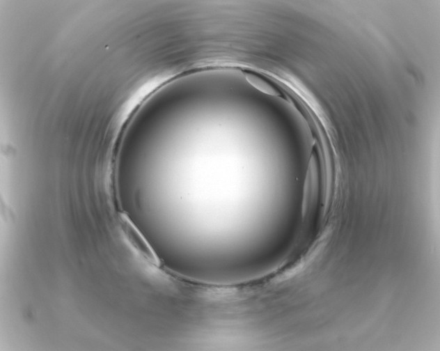 X0000091330909200708101423