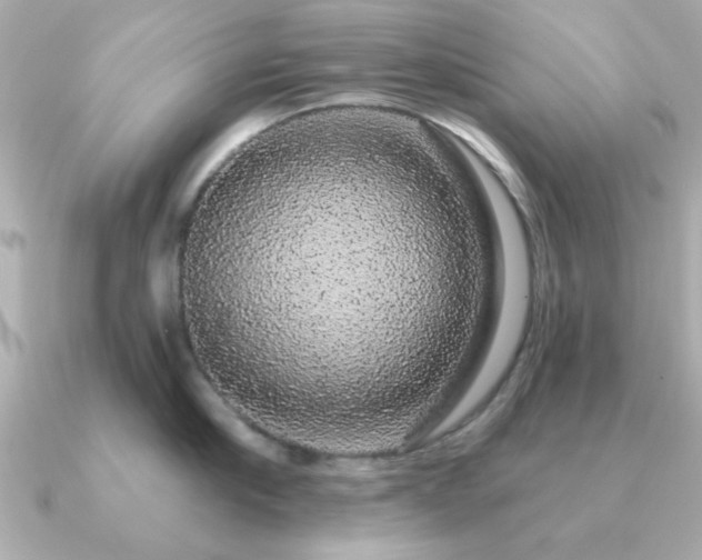 X0000091330910200708101423