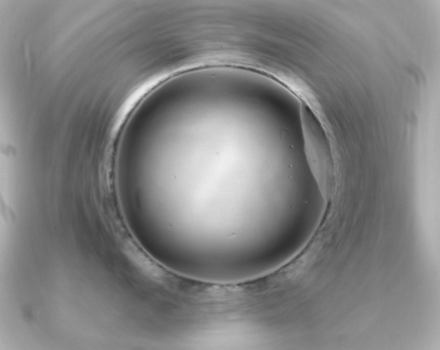 X0000091330912200708101423