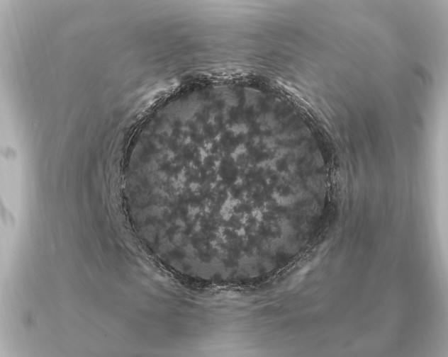X0000091330913200708101423