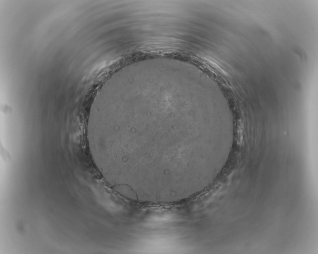 X0000091330917200708101423