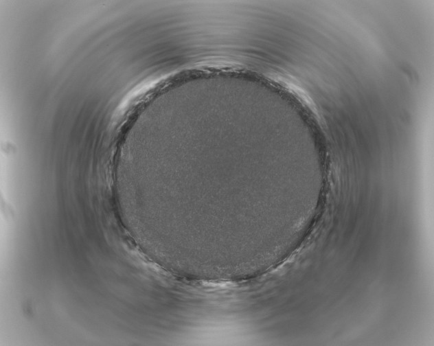 X0000091330920200708101423