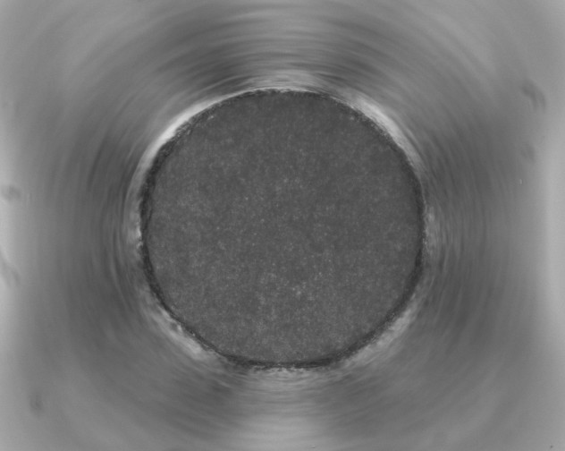 X0000091330923200708101423