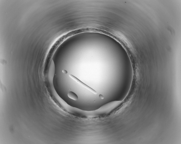 X0000091330924200708101423
