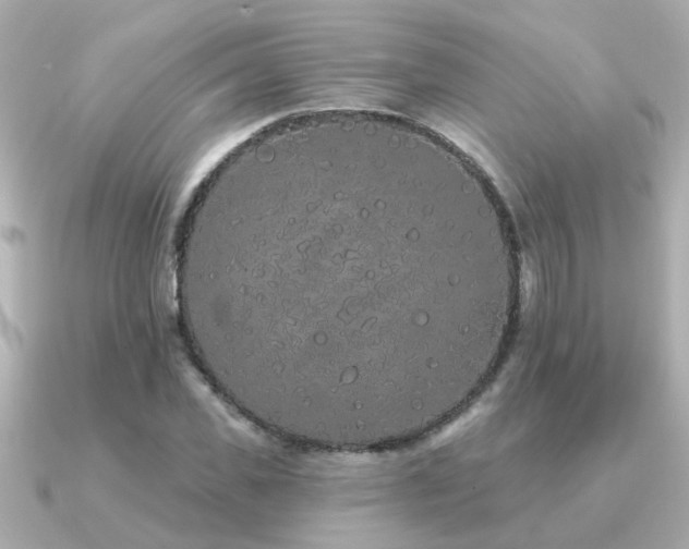 X0000091330925200708101423