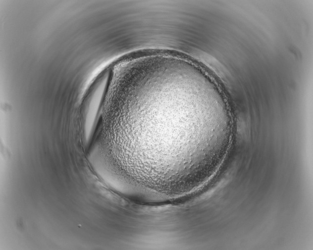 X0000091330926200708101423