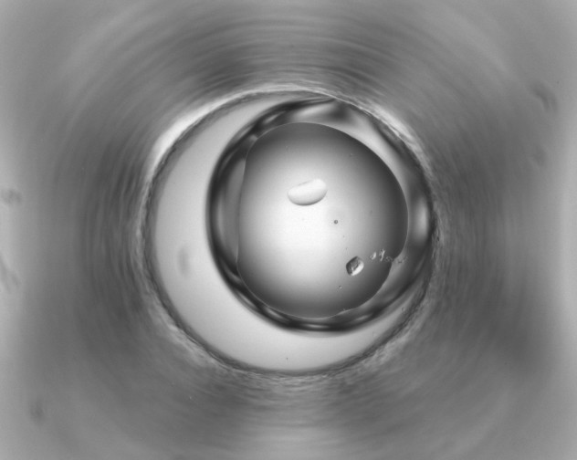 X0000091330928200708101423