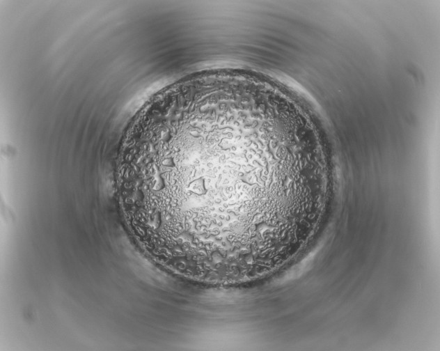 X0000091330929200708101423