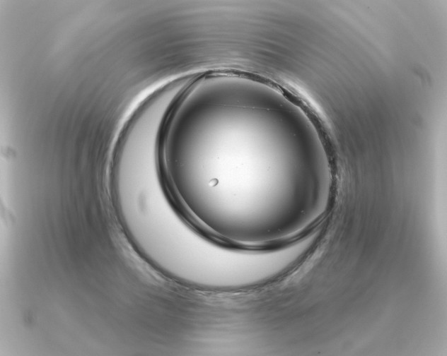 X0000091330932200708101423