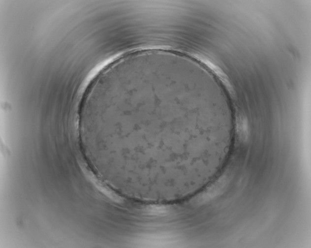 X0000091330933200708101423