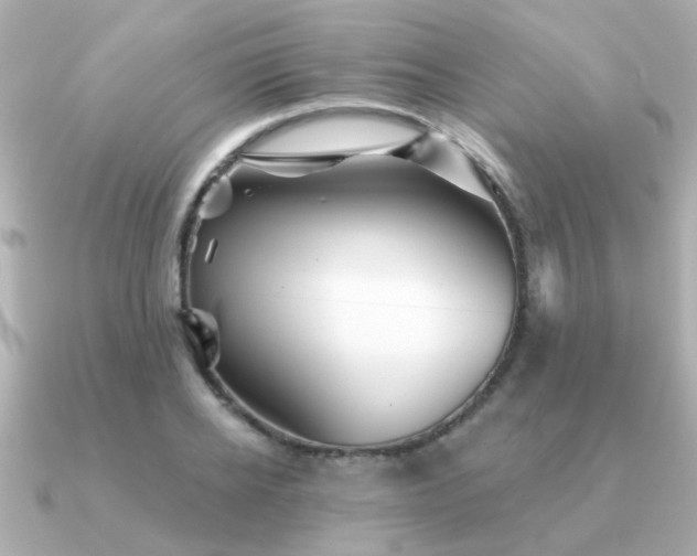 X0000091330934200708101423