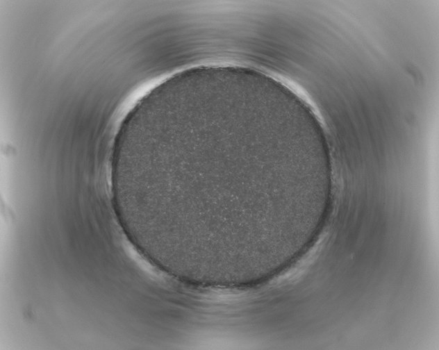 X0000091330935200708101423