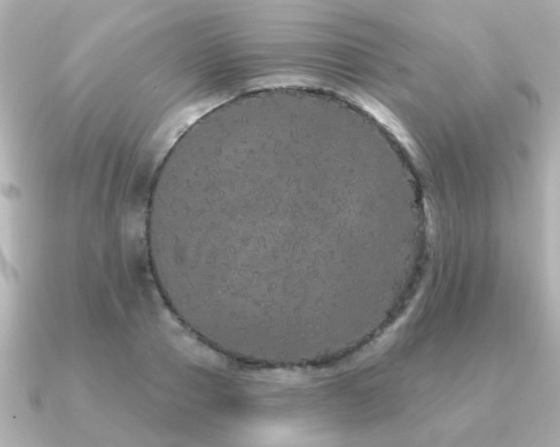 X0000091330937200708101423
