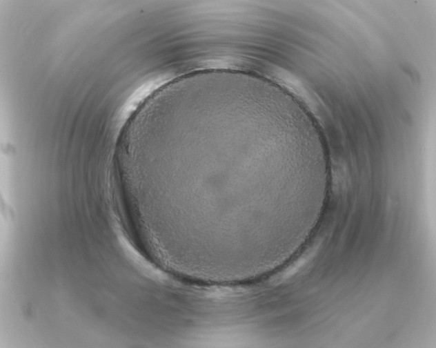 X0000091330938200708101423