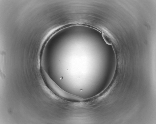 X0000091330940200708101423