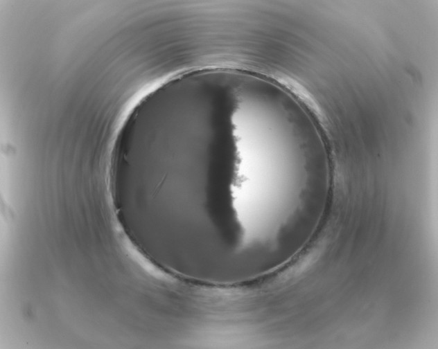 X0000091330941200708101423
