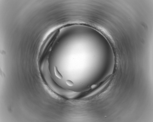 X0000091330942200708101423