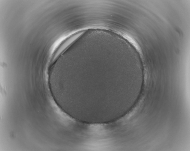 X0000091330944200708101423