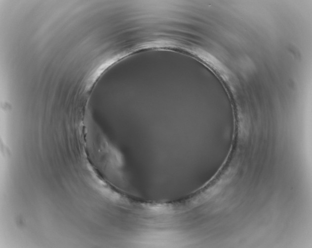 X0000091330945200708101423