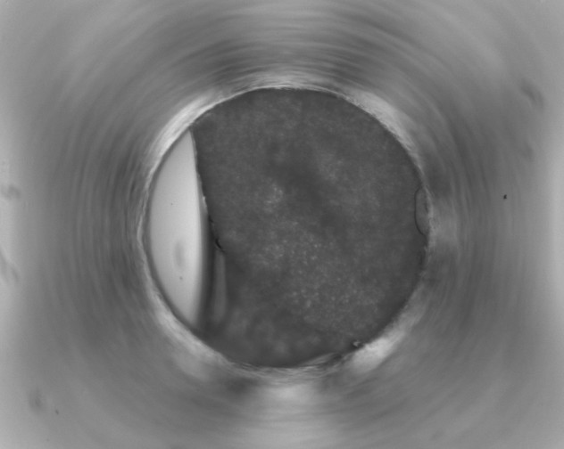 X0000091330946200708101423