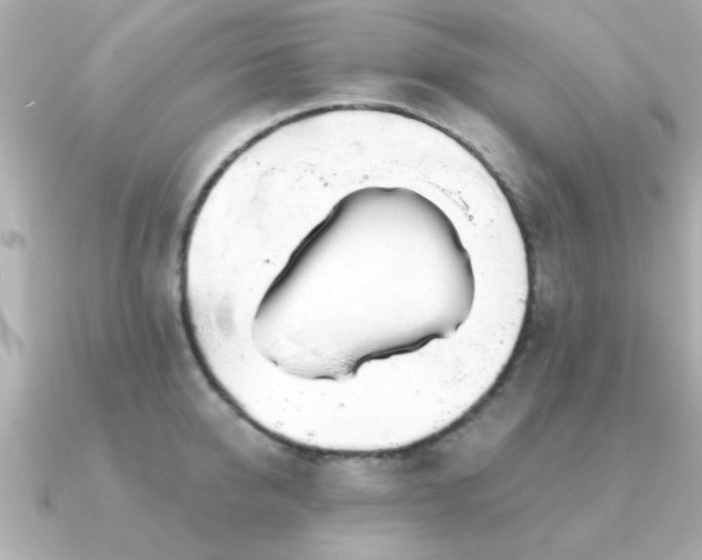 X0000091330950200708101423