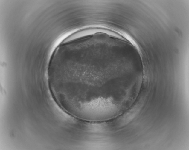 X0000091330951200708101423