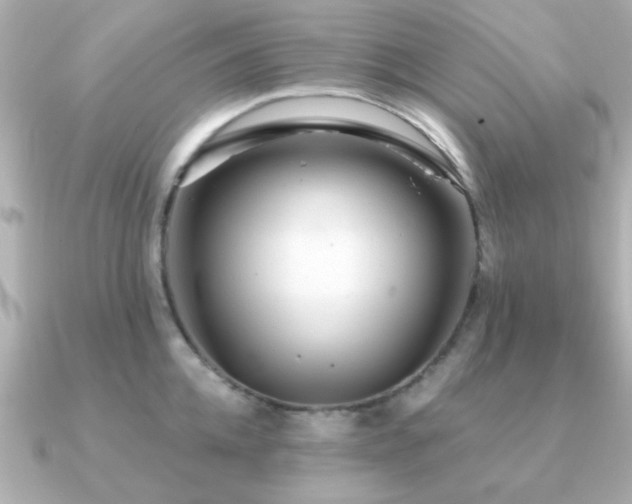 X0000091330952200708101423