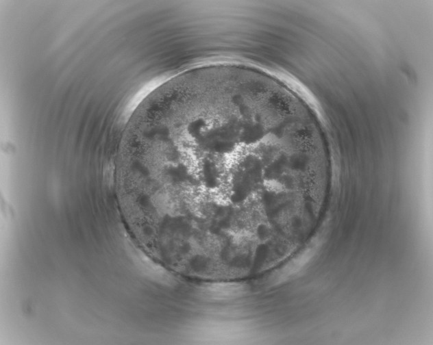 X0000091330953200708101423