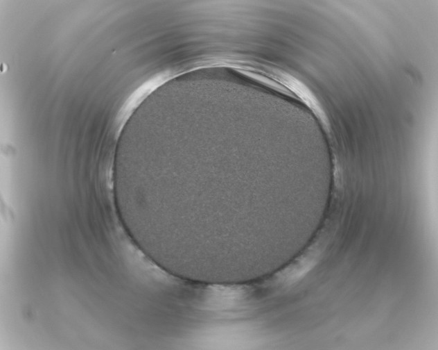 X0000091330954200708101423