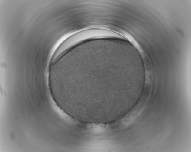 X0000091330955200708101423