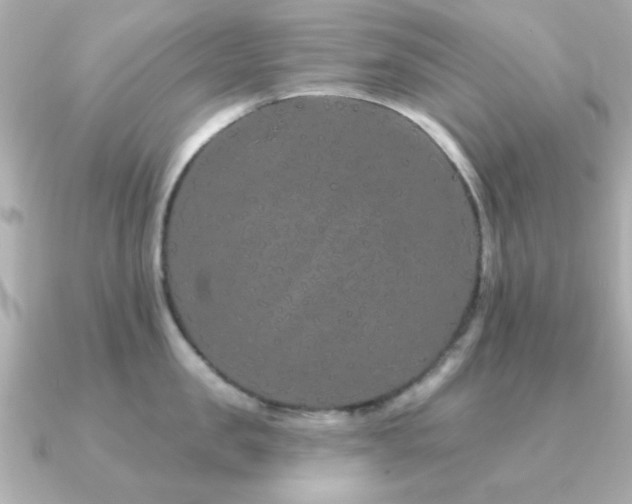 X0000091330957200708101423