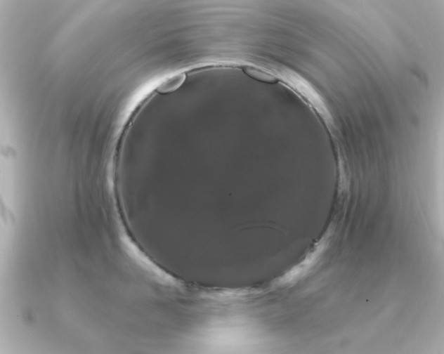 X0000091330958200708101423